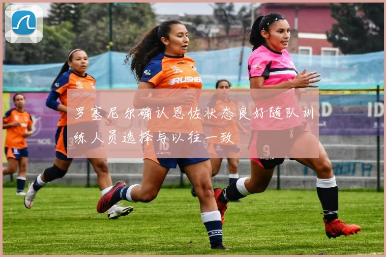 罗塞尼尔确认恩佐状态良好随队训练人员选择与以往一致