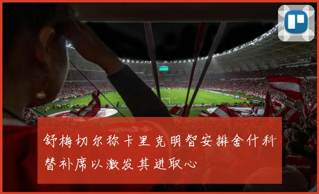 舒梅切尔称卡里克明智安排舍什科替补席以激发其进取心
